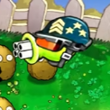 b站南瓜酱pvz二 战版