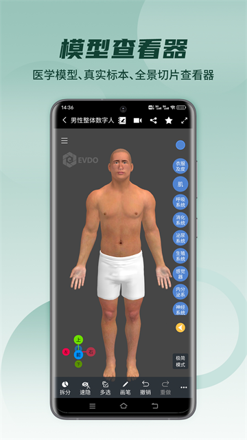 医维度解剖截图4