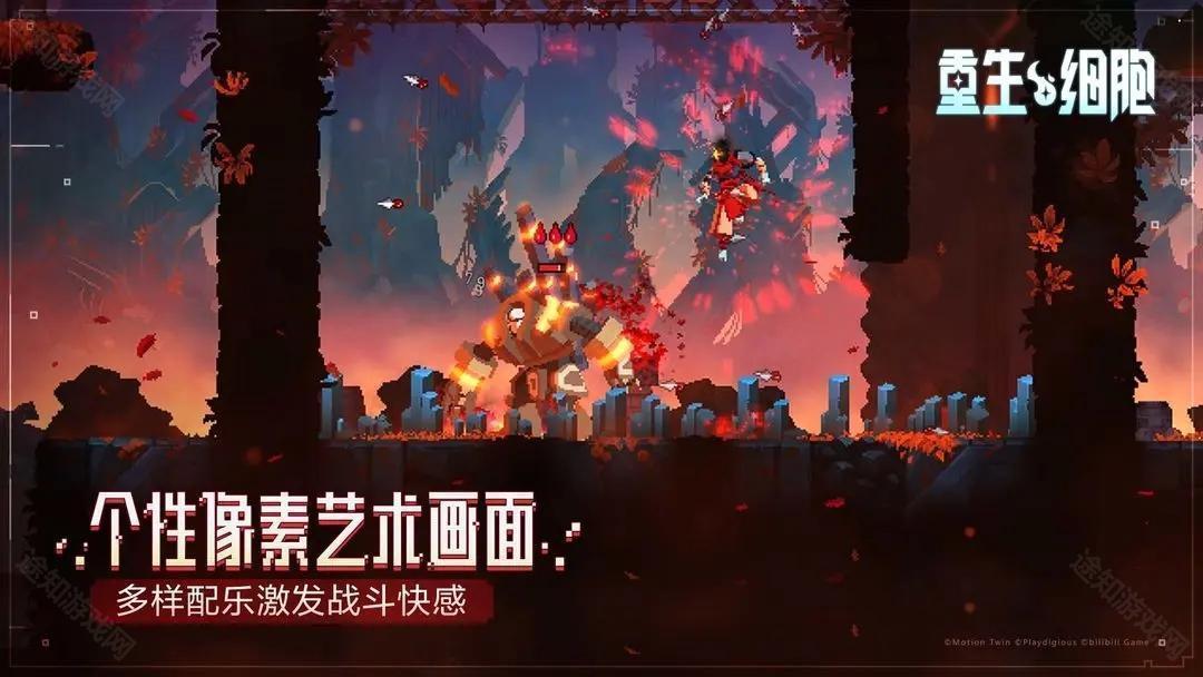dead cells国际版