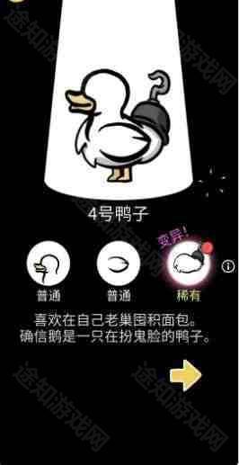 奇怪的鸭子