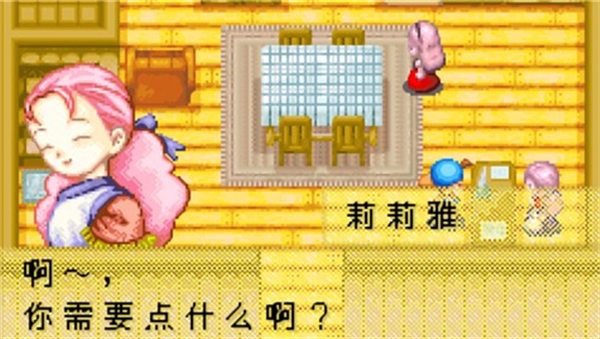 牧场物语矿石镇的伙伴们女孩版截图2