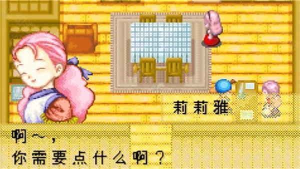 牧场物语矿石镇的伙伴们女孩版