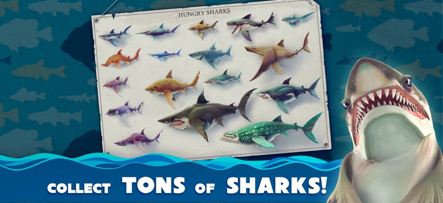 hungryshark截图2