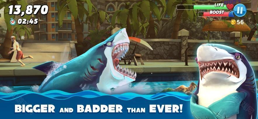 hungryshark