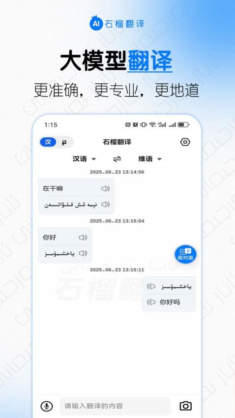 石榴翻译截图3