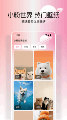 小粉世界壁纸
