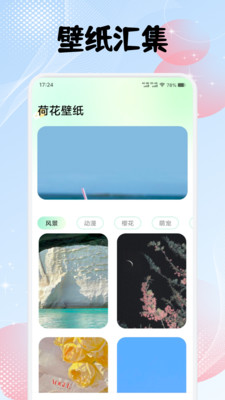 荷花壁纸