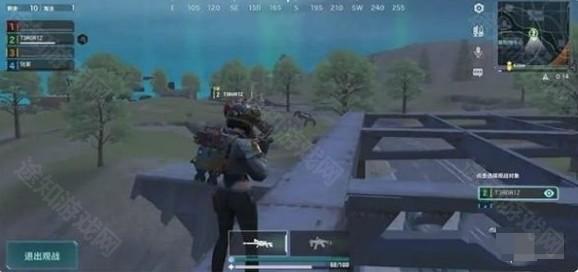 远光84