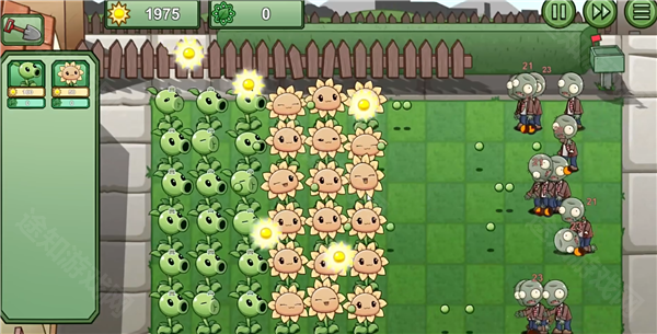 pvzlg