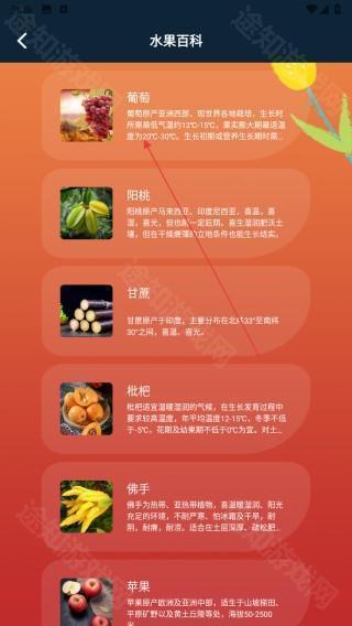 花朵物语pro