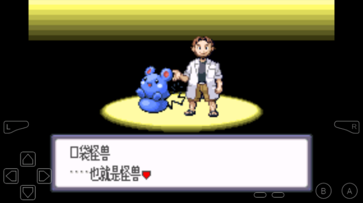 口袋妖怪红宝石截图1