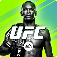 UFC终极格斗冠军2