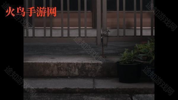 翌日猫之怪奇谭手游