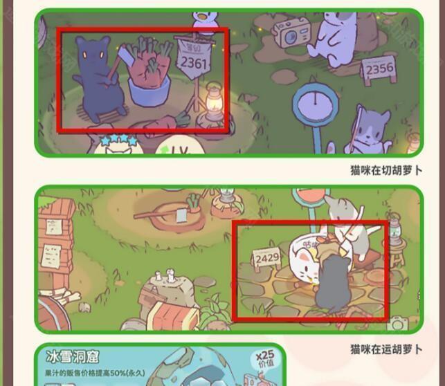 猫咪和汤国际服