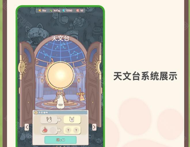 猫咪和汤国际服