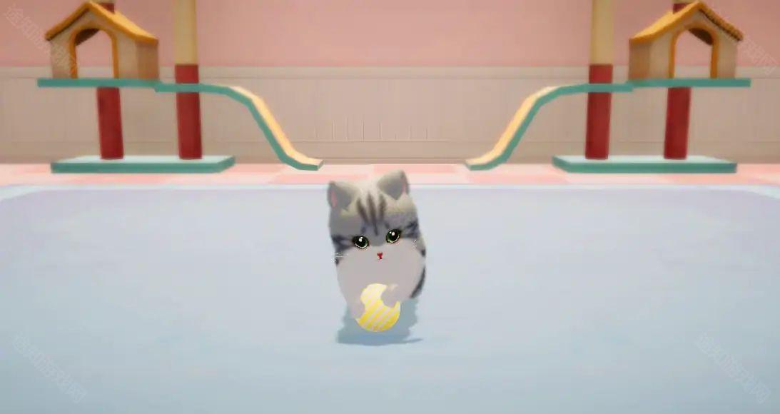 养了个猫联机版