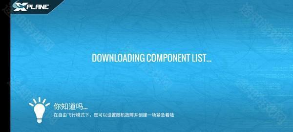 专业模拟飞行10