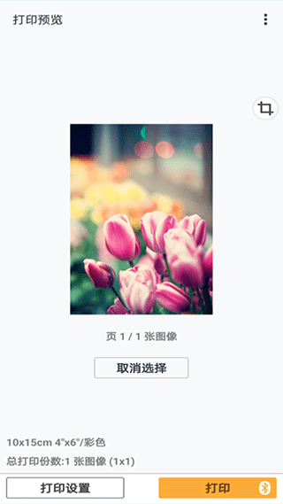 canon print截图3
