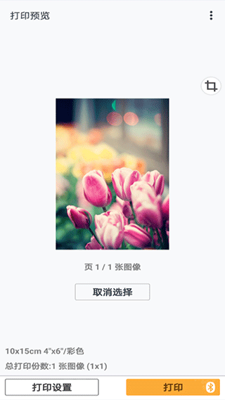 canon print