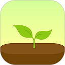 forest专注森林4.77版本