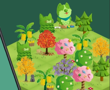 forest专注森林