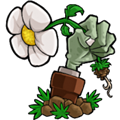 植物大战僵尸统领版