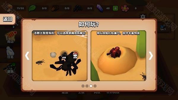 蚂蚁进化3d官方版本6