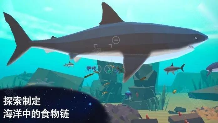从细胞到奇点