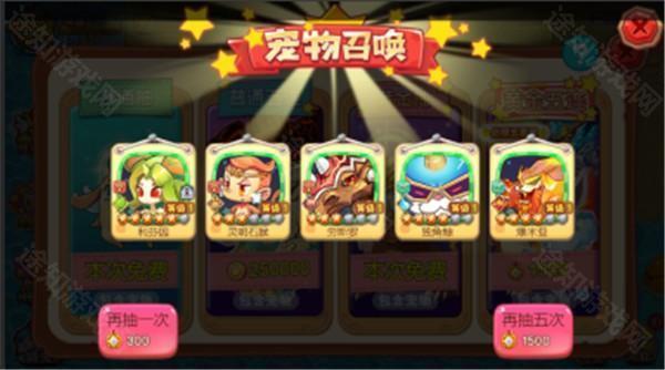 宠物王国外传尼尔版本抽宠物攻略4