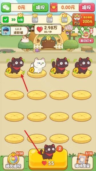 筑梦猫舍