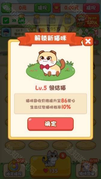 筑梦猫舍