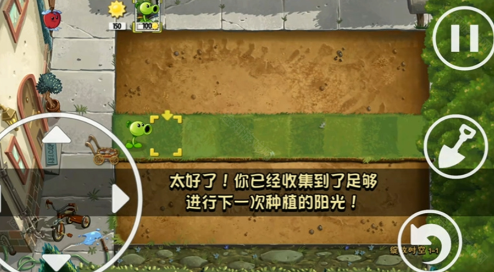 植物大战僵尸绽放时空