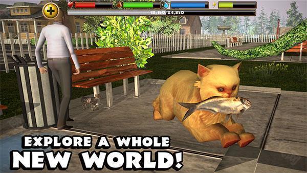 流浪猫模拟器中文版