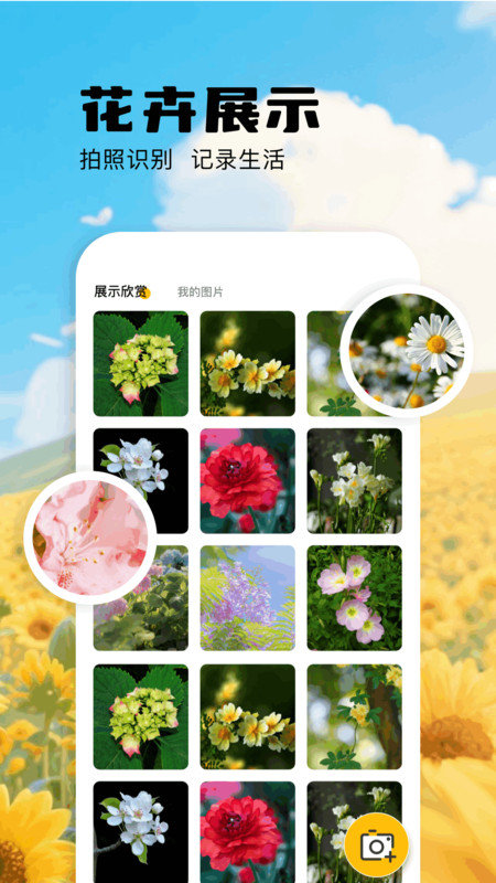 扫描识万物截图4