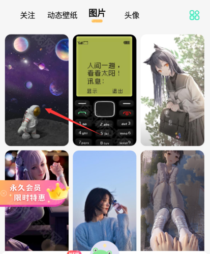 哈屏壁纸2025永久会员