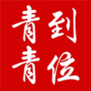 青青到位