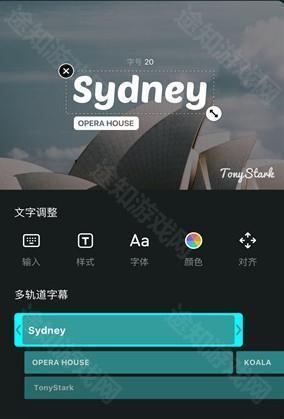 VN视迹簿