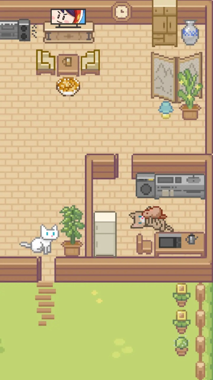 Miao屋截图2