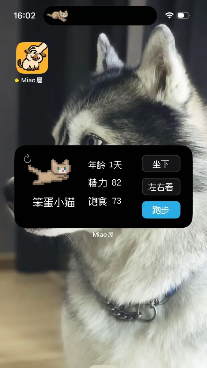 Miao屋截图4