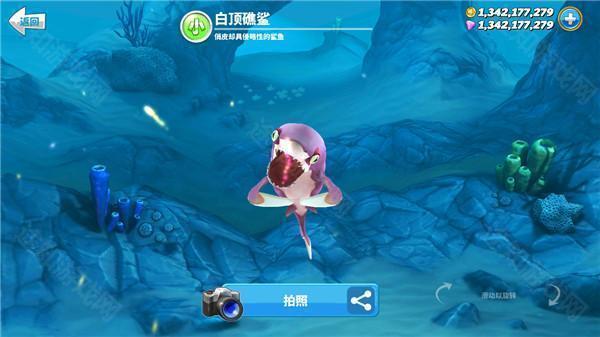 hungry shark老版本