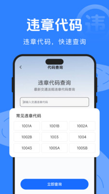 驾驶违规快查通