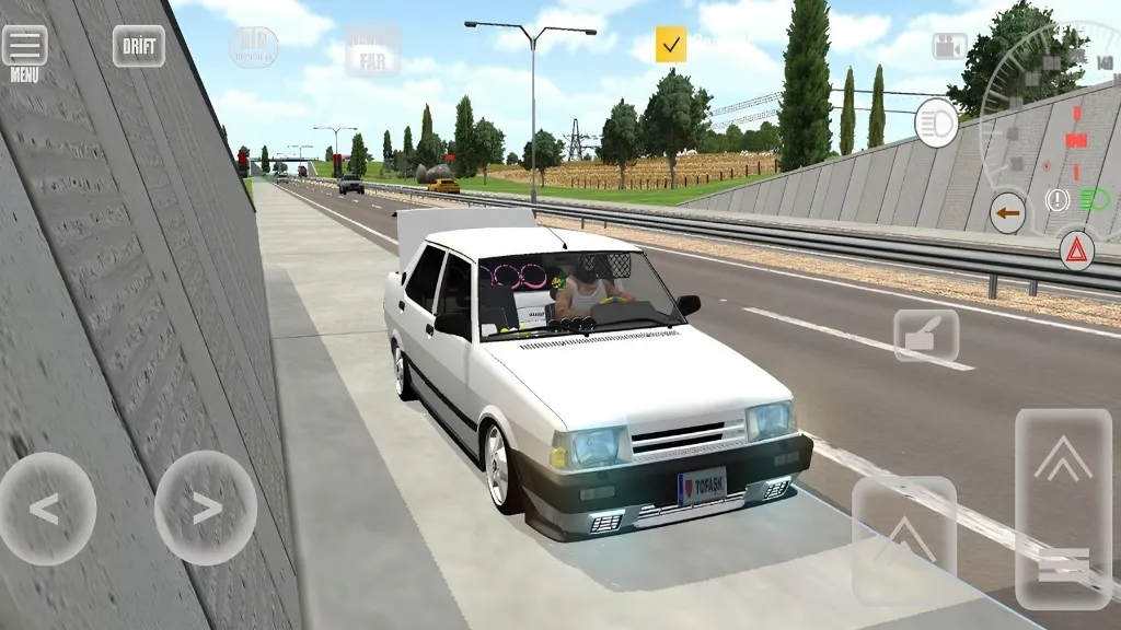 托法斯赛车最新版截图2