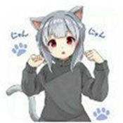 冷狐宝盒3.8.1