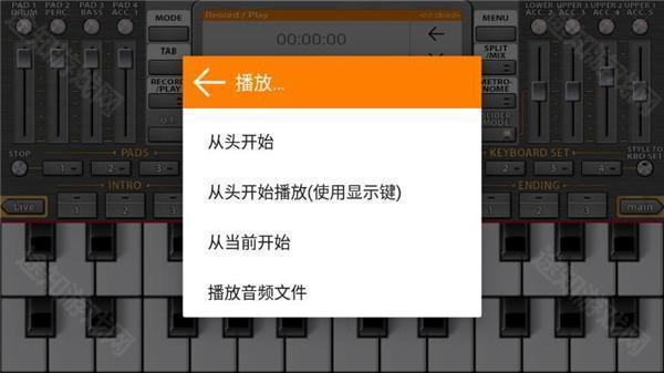 ORG电子琴中文版