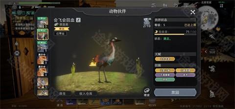 荒原曙光