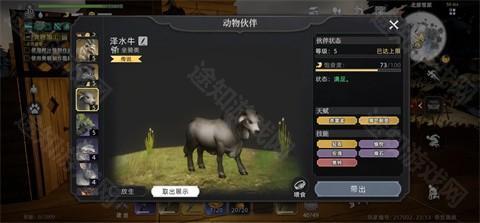 荒原曙光