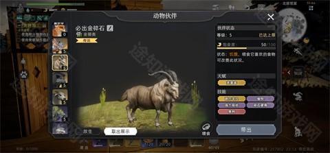 荒原曙光