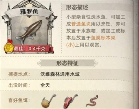 荒原曙光