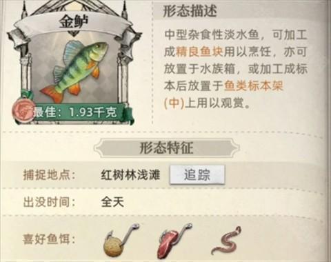 荒原曙光