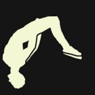 疯狂后空翻2中文版